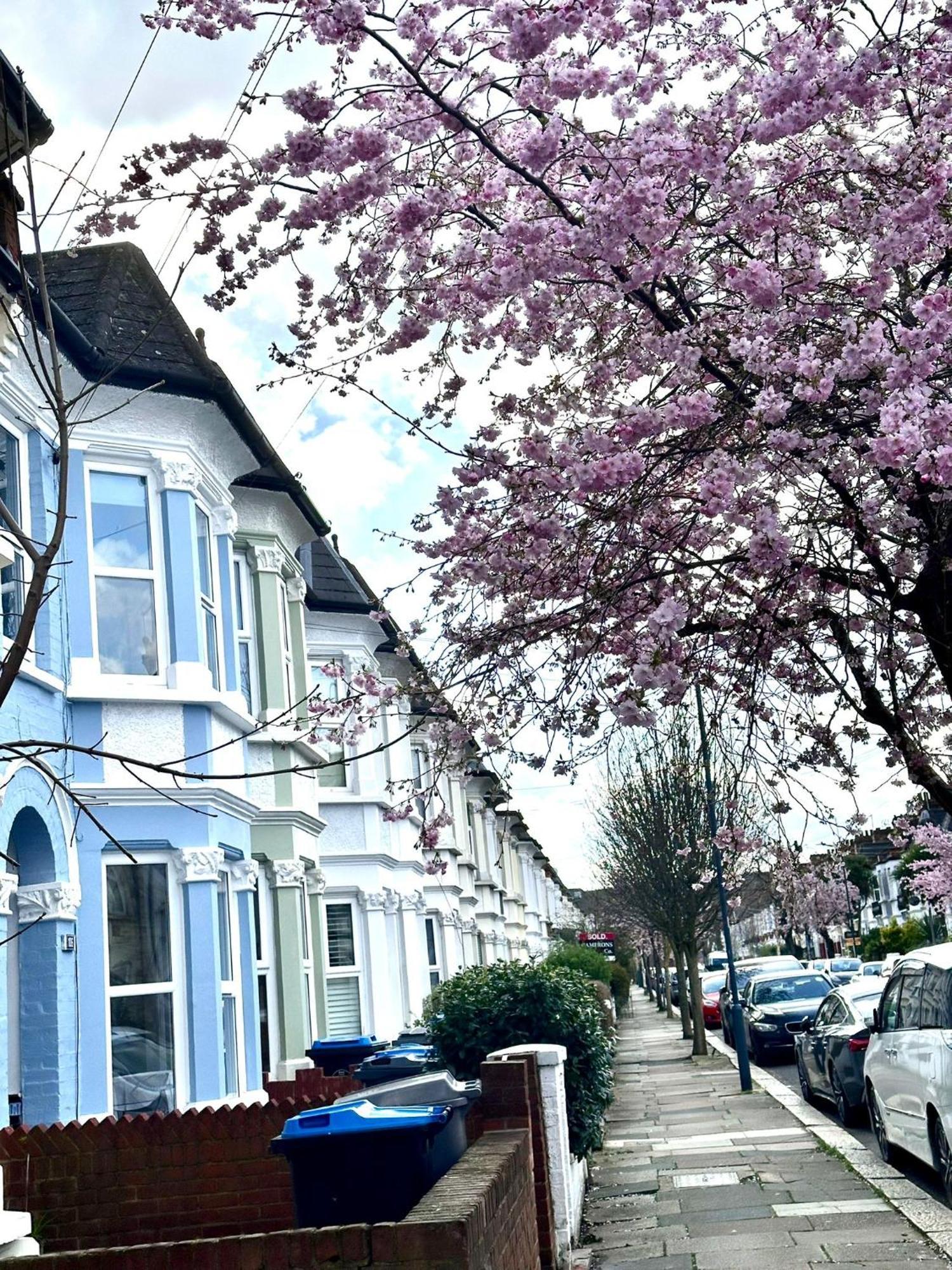 Charming, Renovated Residence In Willesden Green London Kültér fotó